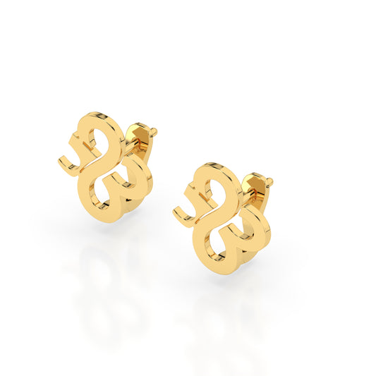 THE MIRACLE EARRINGS